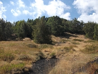rrente Quarantore-20110911 144